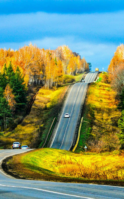 Autumn, Forest, Mountain Road, British Columbia, Canada