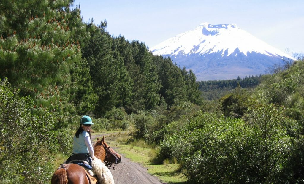 Horse Riding, Cotopaxi Volcano, Avenue of the Volcanoes, Ecuador