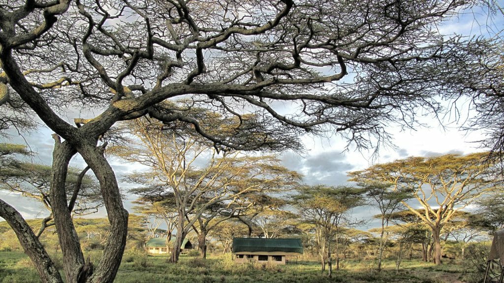 Exterior of Tent, Serian Serengeti, Serengeti National Park, Tanzania