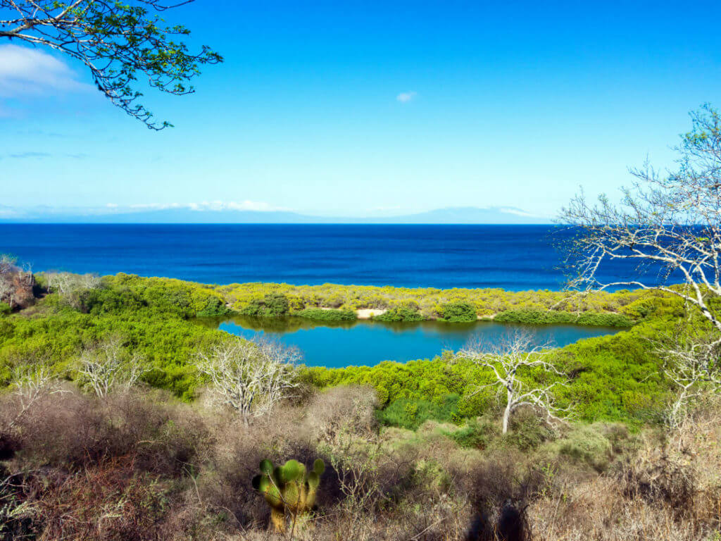 Landscape, Santiago Island, Galapagos Island