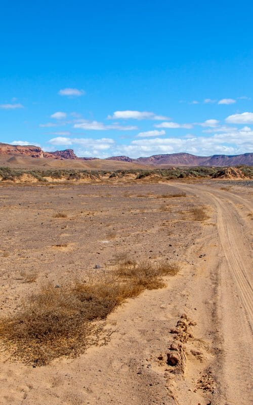 Sandy tracks, Damaraland, Namibia