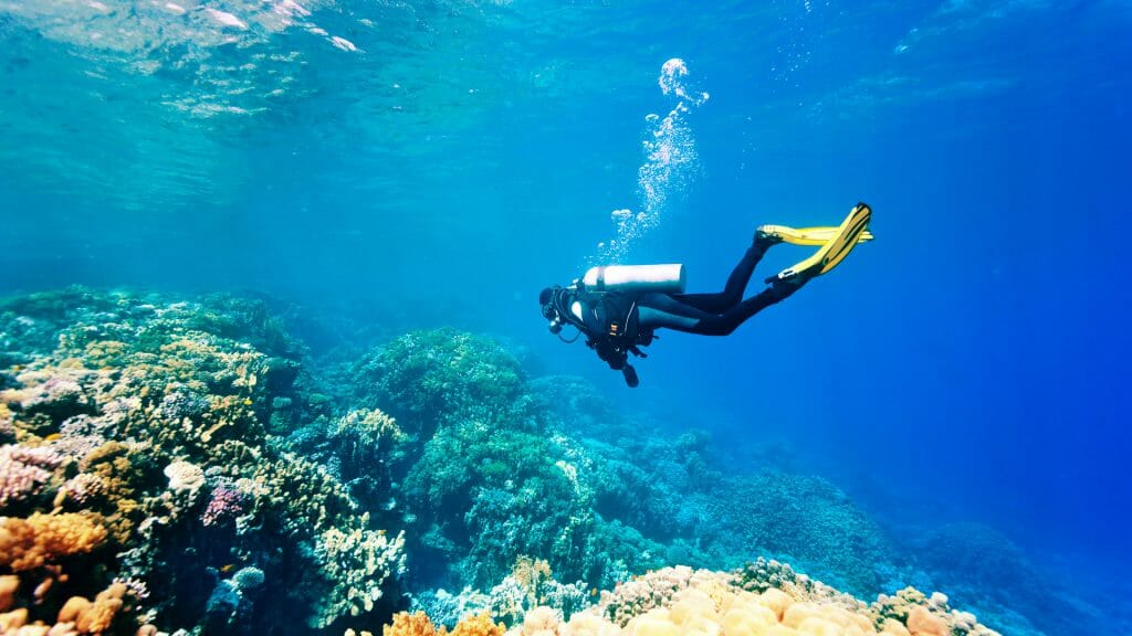 Scuba diving, Jordan