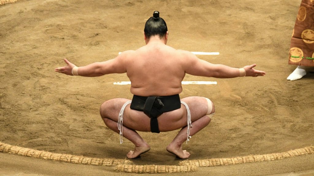 Sumo wrestling, Tokyo, Japan