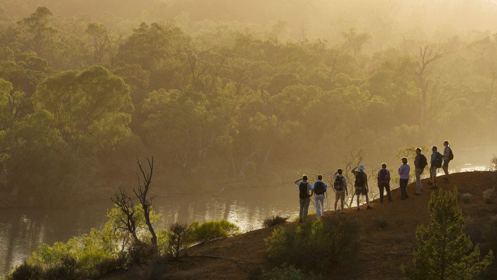 A group of walkers silhoutted on a ridge at sunrise, on Heading Cliffs overlooking a hazy Murray River below.