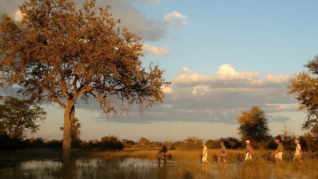 Walking, Selinda Canoe Travel, Selinda Reserve, Botswana